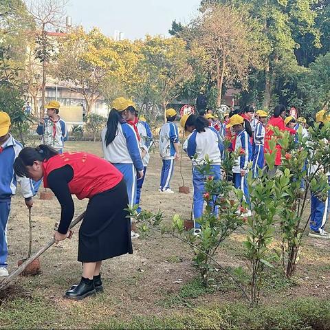 【河婆街道后埔小学】“绿美校园——优质树种进校园”师生植树活动