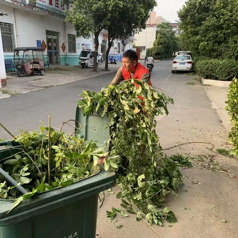 灞陵街道社区：清除杂草齐动手，缔造美好家园