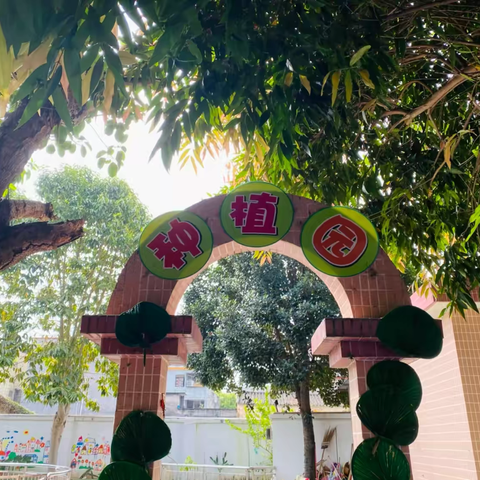 我们的“家”——种植园 ‍（中五班）