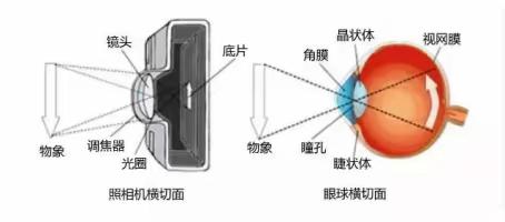 消失的硬币——光的折射