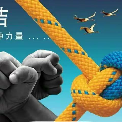 包头分行任晓芳副行长一行深入林荫路支行调研指导工作