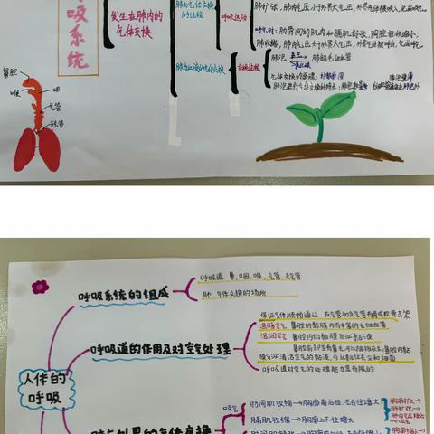 【铸正教研】个性化作业展示——七年级生物“思维导图”