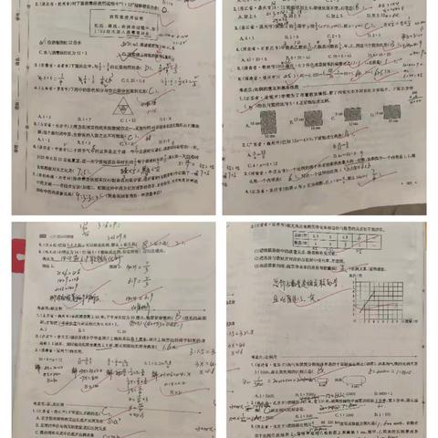 素提磨砺助成长 匠心深耕绽芳华