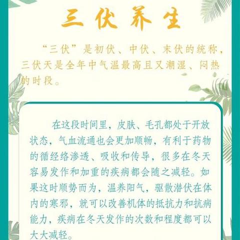 🔥 三伏天·冬病夏治正当时 | 治未病一科为您解锁五大“阳”气充值秘籍！