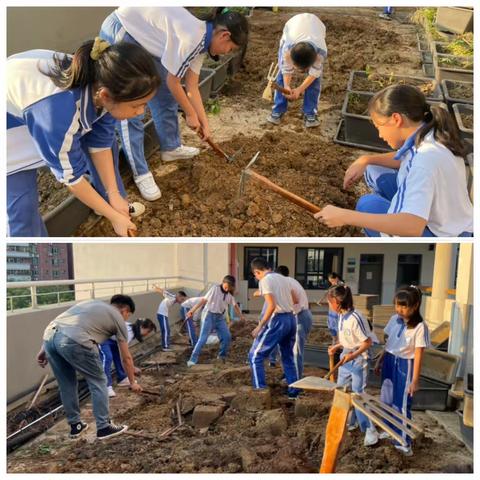 《半岛植物园》——东方半岛小学科学组PBL项目活动