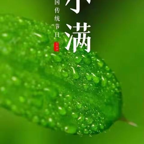 万物丰盈，走进大自然~西河小学五三班小满节气劳动实践活动