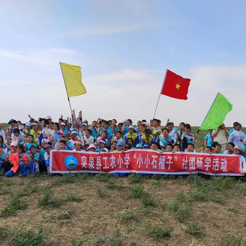 研学旅行促成长，最美课堂在田间——突泉县工农小学开展研学旅行教育实践活动