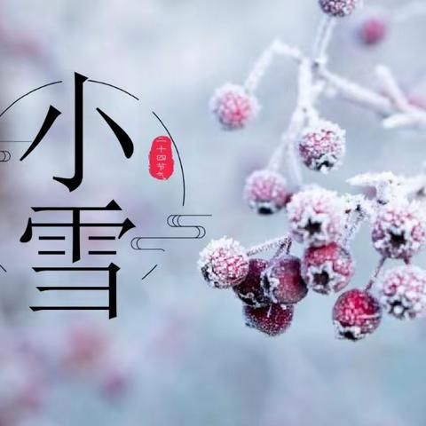 “小雪”来啦 --涞水县幼儿园小十一班小雪节气主题教育活动