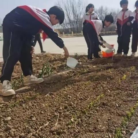 拥抱春天  植此青绿——左各庄镇中艾头小学植树节主题活动