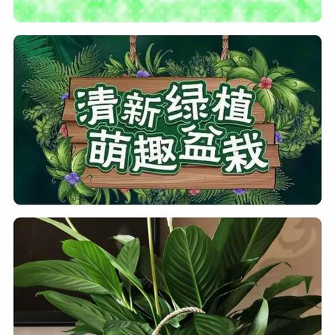 西安高新区第三十八小学和迪分校开展“我为班级献朵花”主题班会