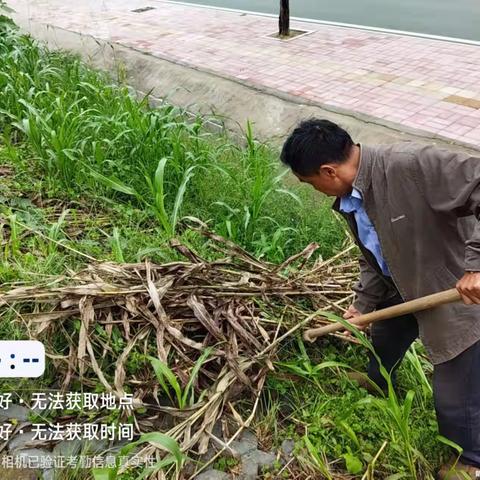 槐荫区吴家堡街道七里铺村人居环境整治