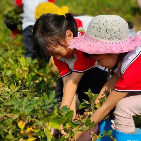 “甜果乐园采摘季”体验爱与美好