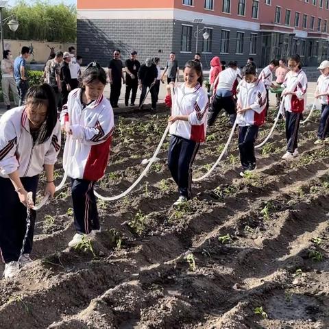 春意盎然时 师生共建园——记鸡东县第四中学春日劳动实践课