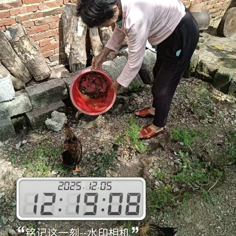 那大镇屋基村委会开展“清洁家园 防蚊灭蚊”夏秋季爱国卫生百日专项行动