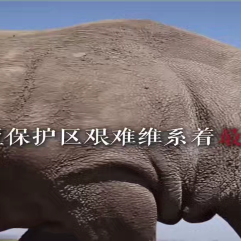 以课为镜，共悟语文之美 ——赵小丽名师工作室课例分享