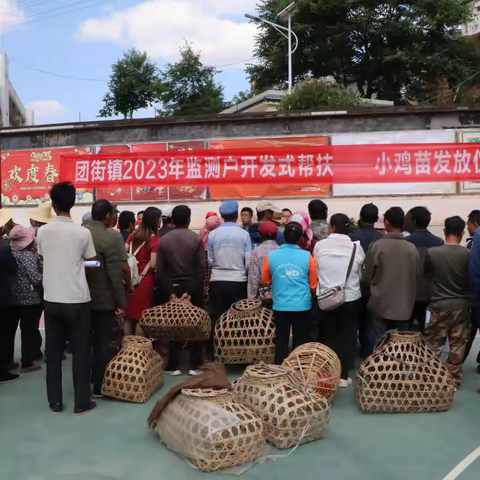 发放鸡苗促增收 开发式帮扶暖民心