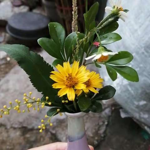 漠南中学插花比赛高一五班 关宝莹