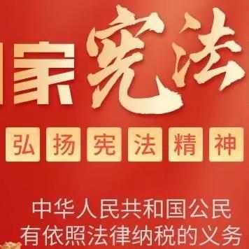 “学宪法，讲宪法”——丰田初中九年级宪法知识竞赛活动纪实