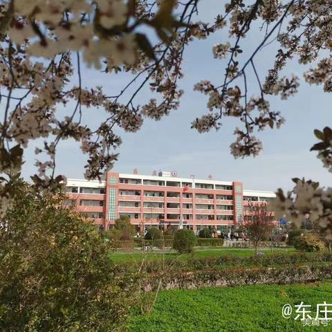 凝心聚力抓常规 严勤细实促成长-东庄一中教学常规检查纪实