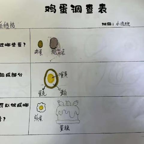 【“蛋”愿有你】——西安市高陵区第四幼儿园小四班课程故事