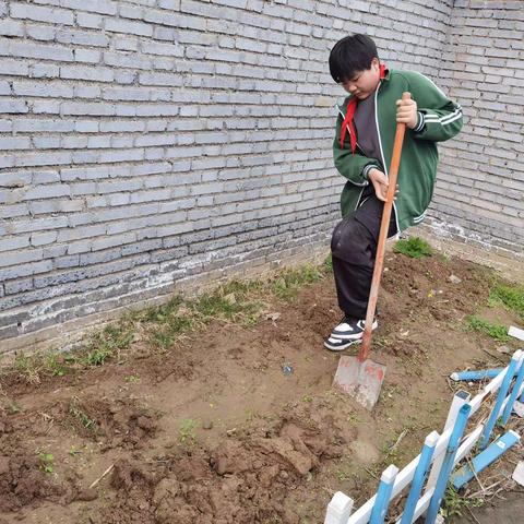 不负好春光 添绿正当时——惠济区南阳小学校开展绿色植物种植活动