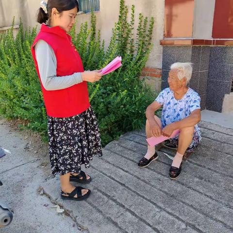 苗山镇：反有组织犯罪法宣传进村居，筑牢扫黑除恶防护网