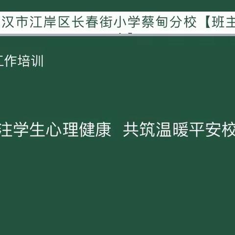 教师“心”技能，学生“心”健康——江岸区长春街小学蔡甸分校班主任心理健康培训记录