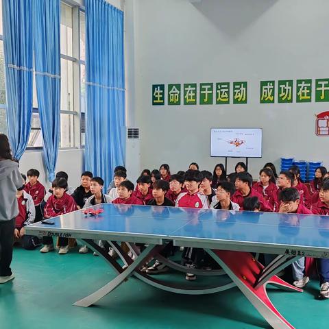 迎春启程，向阳而行