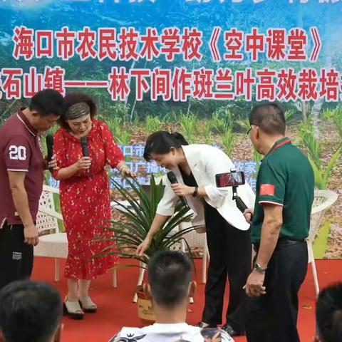 发展林下经济  探索斑兰种植 ----海口市农民技术学校第八期《空中课堂》（户外直播）“林下间作斑兰叶高效栽培技术”在线直播开播啦