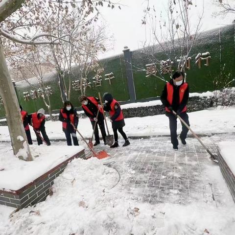 市容监察中队党支部开展清扫积雪志愿活动