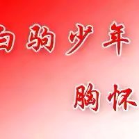 【白驹党建】集团联动 重建家园——海南白驹学校党员突击队到成员校革命英烈红军小学支援灾后重建工作