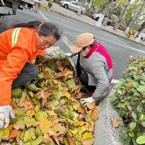 秋风扫落叶,环卫“靓”街巷