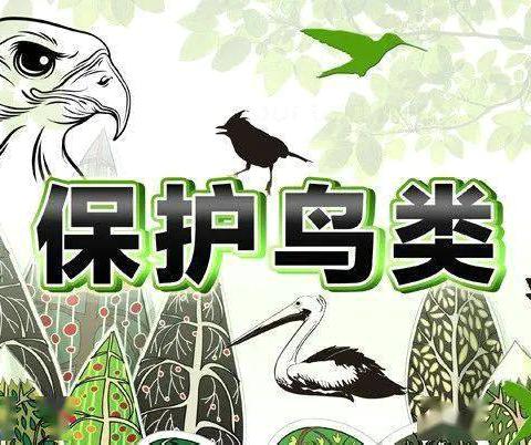 【碱滩小学·德育】渭城区碱滩小学“爱护鸟类 守护家园”活动倡议书