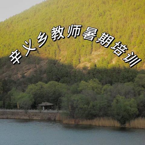 砥砺深耕新课标 奋楫扬帆新时代——2023年成安县辛义乡教师暑期培训