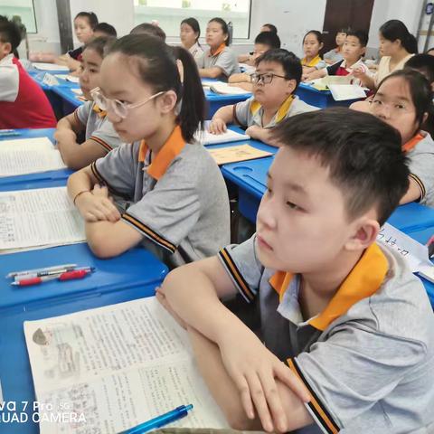 细品信赖之美，共研教学之道 ——《珍珠鸟》听评课活动纪实