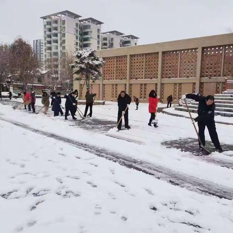 磁州窑博物馆12月11日至15日工作动态