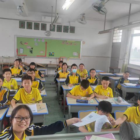 树本小学六年级数学思维训练班