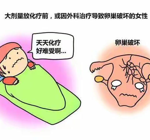 癌症患者还能生宝宝吗？ -生育力保存为您的生育能力保驾护航