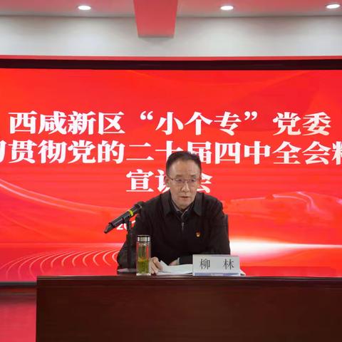 西咸新区“小个专”党委 开展学习贯彻党的二十届四中全会精神宣讲辅导活动