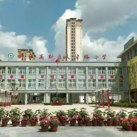 春归启序研课标 深耕教材启新程 ——天津路小学“研课标 通教材”活动 ‍