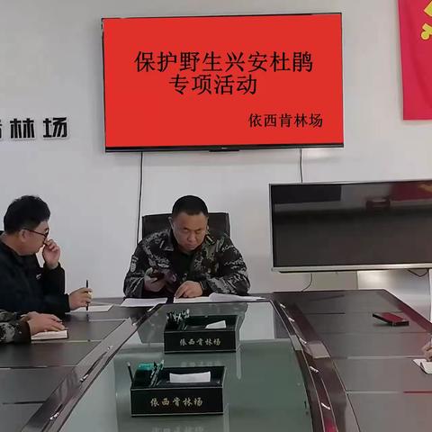 保护野生兴安杜鹃专项活动