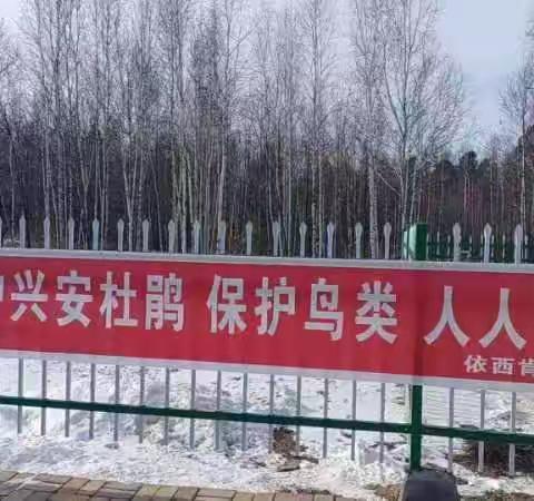 依西肯林场开展秋冬季野生动物保护专项行动