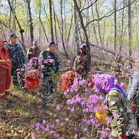 十八站林业局局级副林长深入依西肯林场督导检查