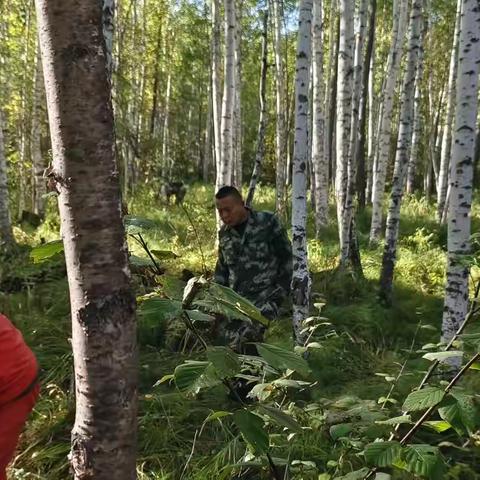 依西肯：“常态化”开展森林资源保护专项行动