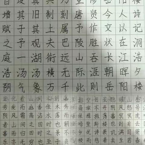 扎实推进蓄新势 扬帆起航再出发——临沂第二十中学学生暑期生活纪实