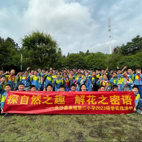 泉塘二小1910班花田厝研学之旅