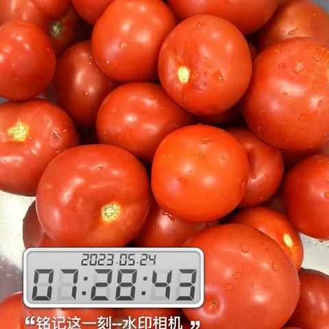 5.24宁波绿动体系安全日报