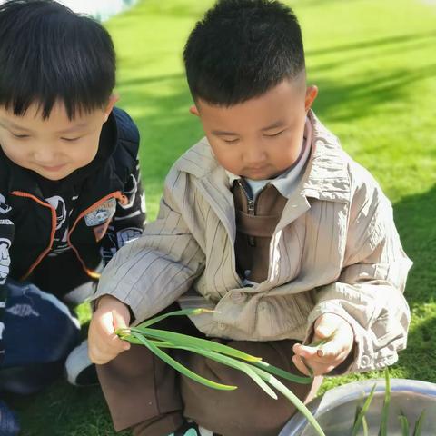 浓情感恩节，快乐包饺子