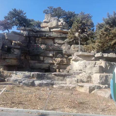 2025——记录美好时光