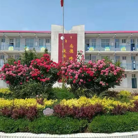 柏乡县南鲁中心小学“十四五”县级课题中期论证